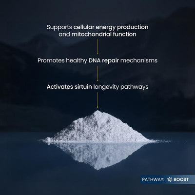 Pure NMN Powder (Nicotinamide Mononucleotide)