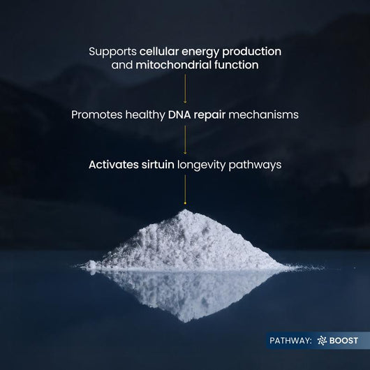 Pure NMN Powder (Nicotinamide Mononucleotide)